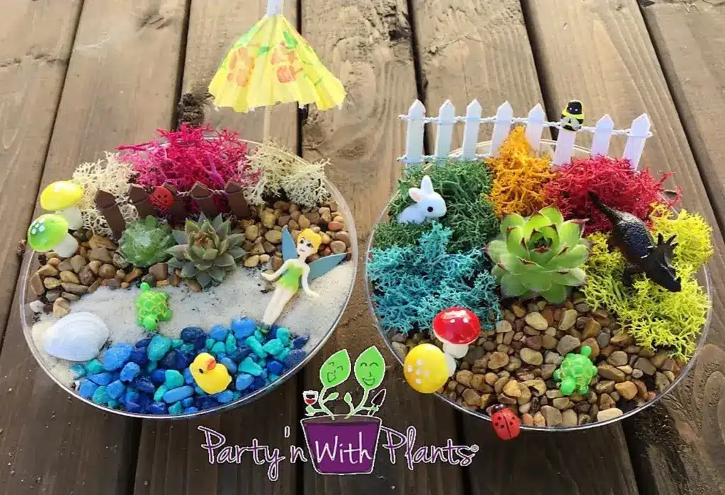 A Fairy Garden Kit by PartynwithPlants