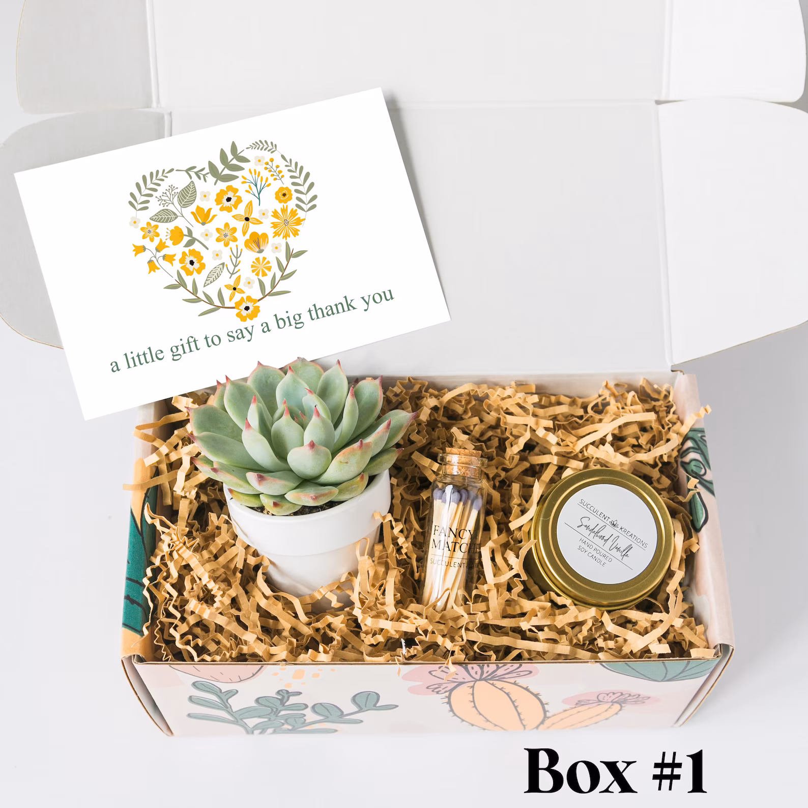 succulent gift box