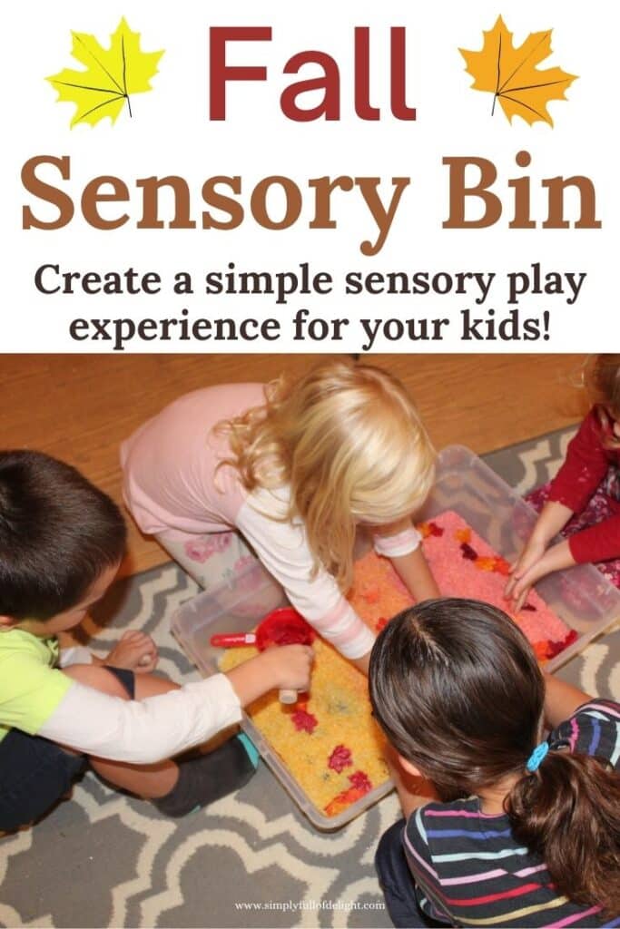 Fall Sensory Bin - Create a simple sensory play experience for your kids!