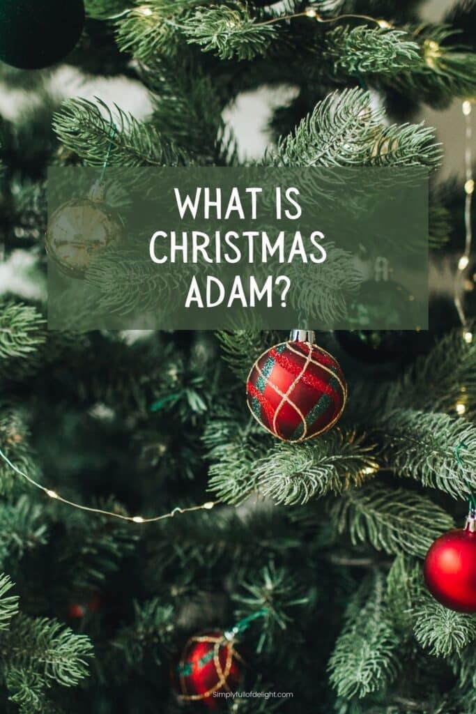 What is Christmas Adam?