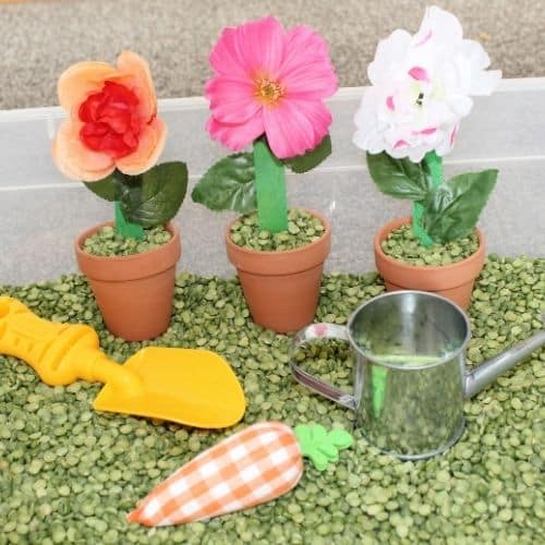 gardening spring sensory bin including pretend flowers, flower pots, a shovel, split peas, and more