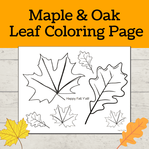 oak leaf coloring pages