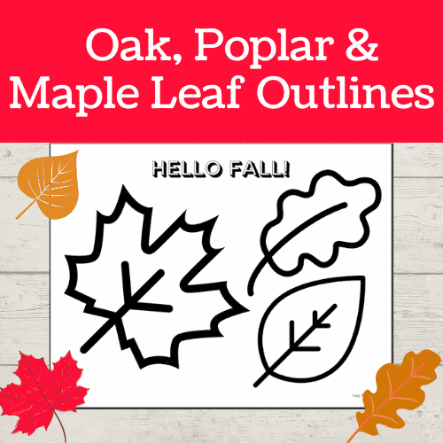 Free Leaf Patterns for Crafts, Stencils, and More