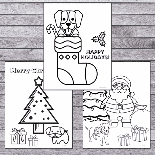 Christmas puppy coloring pages including: a puppy in a stocking, a Christmas tree with gifts & dog, Santa with a puppy and gifts with a Christmas tree