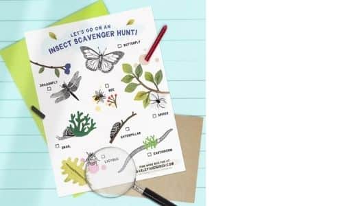 Insect scavenger hunt by Barley and Birch