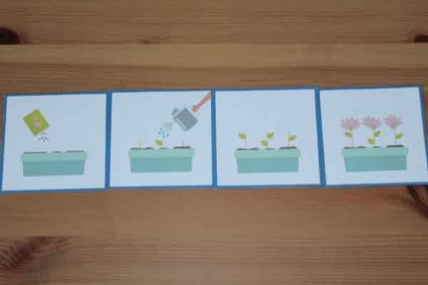 Plant Story Sequencing Cards Free Printable