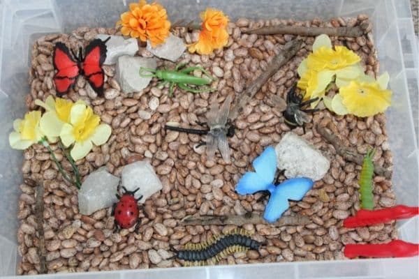 Insect Sensory bin for preschool