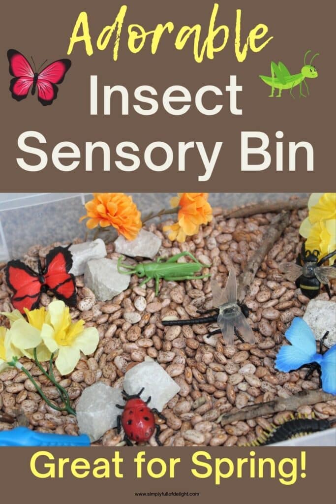 Adorable Insect Sensory Bin - Great Spring sensory bin for preschool.  Teach little ones about bugs and insects with this fun sensory play idea.  Bin contains flowers, stones, sticks, beans, bugs and more!