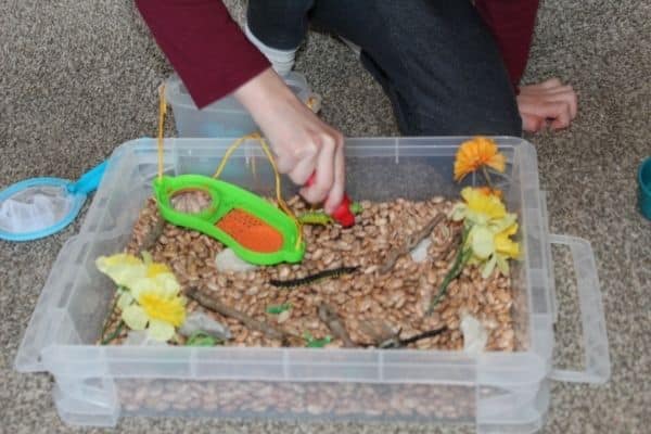 Child playing with insect sensory bin, using tongs to pick up bugs