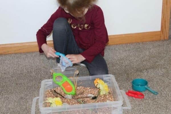 Child catching bugs with the butterfly net in an insect sensory bin for preschool