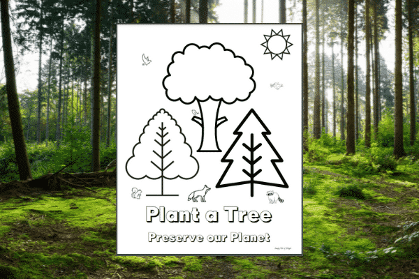 Plant a Tree Coloring Page - Free printable Earth Day coloring page for preschool and kindergarten, coloring page includes words Plant a Tree, preserve our planet with 3 trees and some woodland creatures