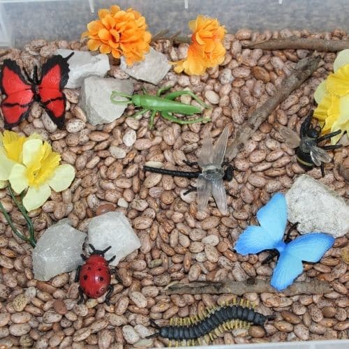 insect sensory bin filled with bugs, beans and nature items
