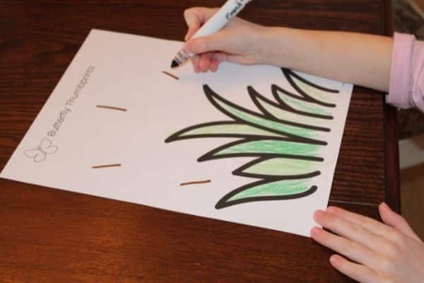 Child drawing a line for each butterfly's middle section