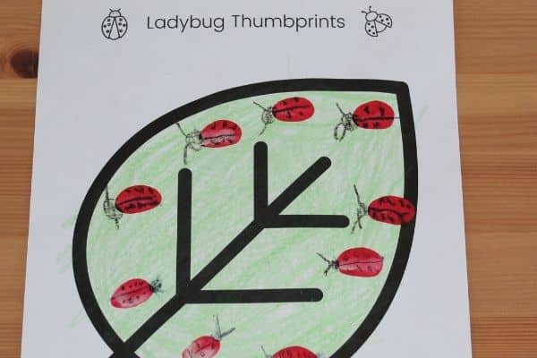 Thumbprint ladybugs - fingerprint ladybugs from red paint and crayon details