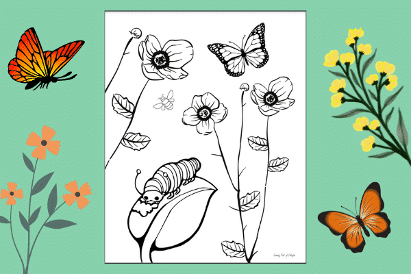 Free printable Caterpillar and butterfly coloring page, spring coloring pages for preschool