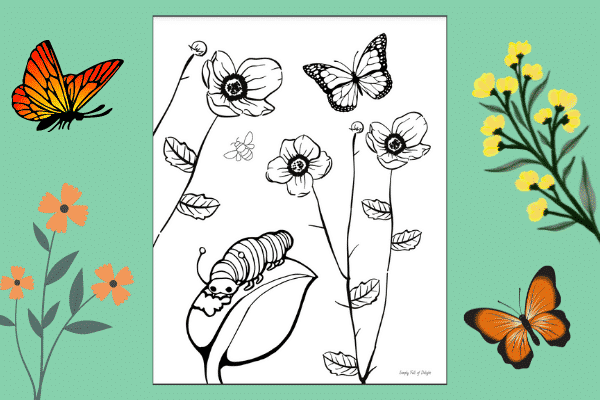 eric carle butterfly coloring pages