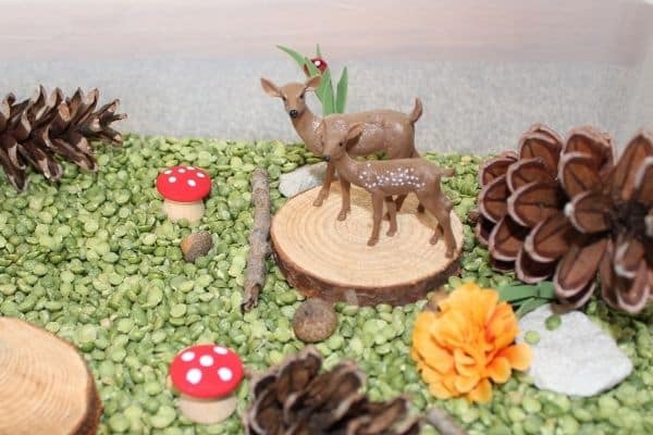 Forest sensory bin with red mushrooms, pinecones, fake flowers and wood slices.