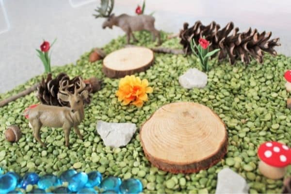 Woodland Sensory bin for preschoolers including deer, pretend water, green split peas and more.