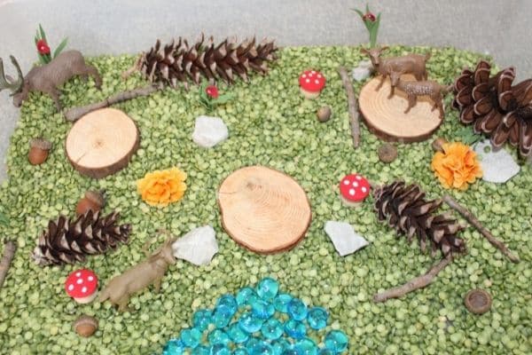 Forest sensory bin with green split peas, pinecones, deer figurines, and wood slices.