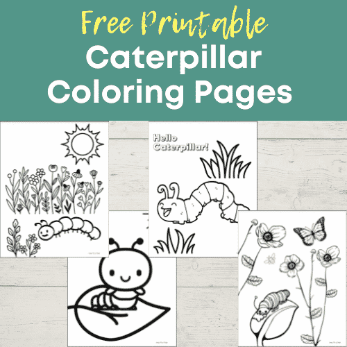 free printable caterpillar coloring pages including caterpillar and butterfly, caterpillar in garden, large caterpillar, caterpillar on the move.