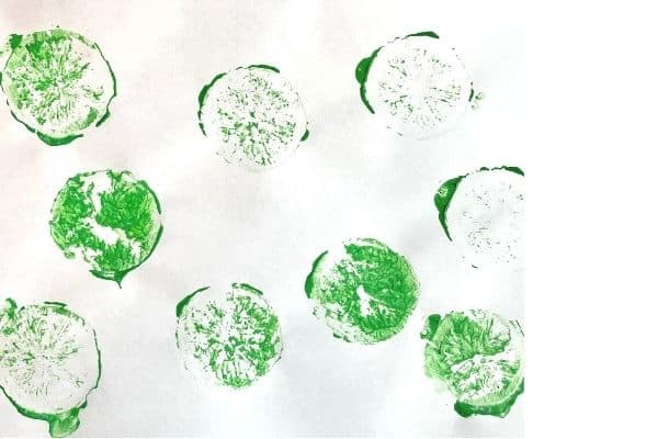 Lime stamping - a lime stamped with green paint onto a paper