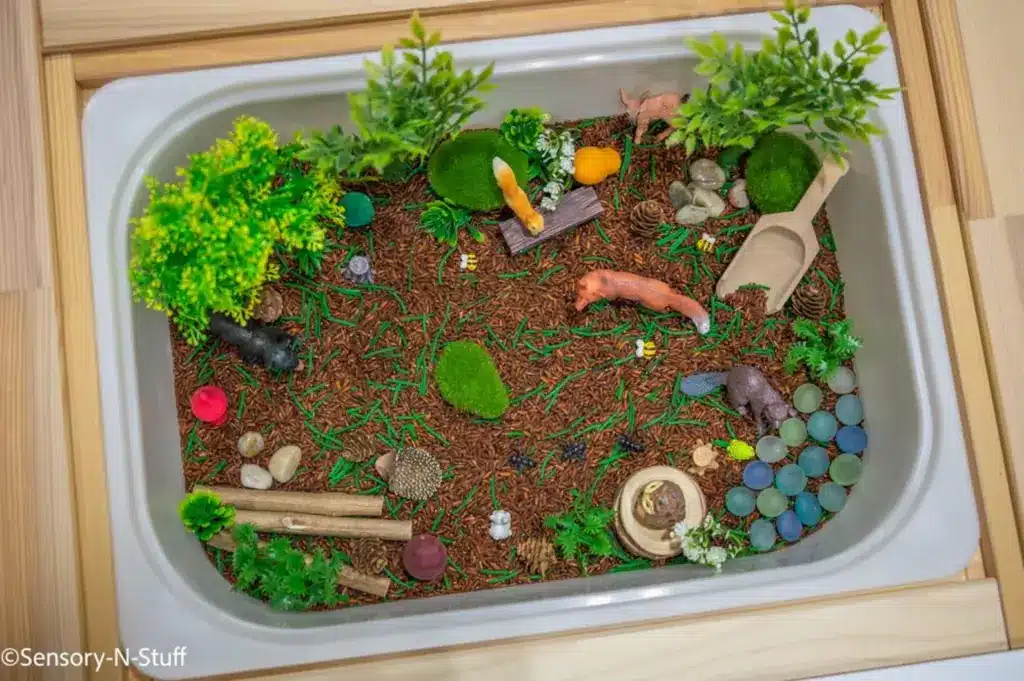 woodland sensory