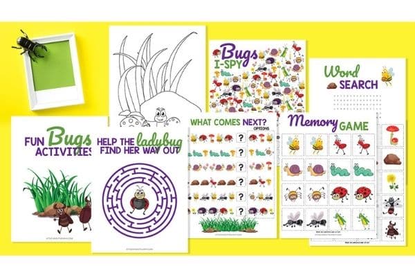 Bug printables set including an i-spy, bug memory game, patterns, a bug maze and more by Attachment Mummy