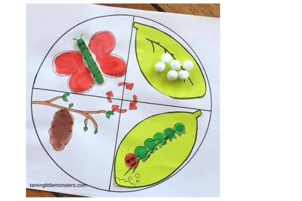 Butterfly life cycle printable by Taming Little Monsters