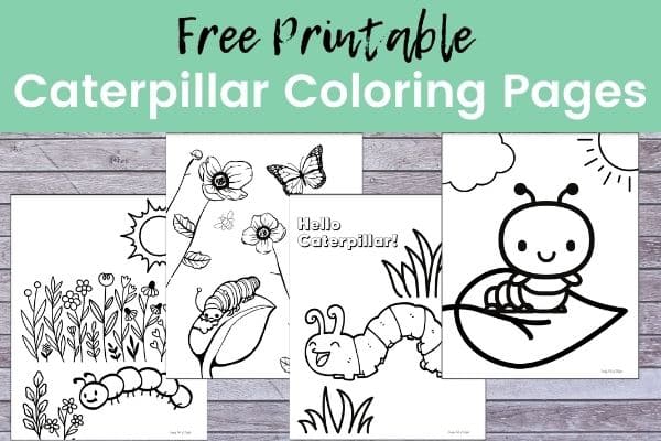 Free printable caterpillar coloring pages by simply full of delight