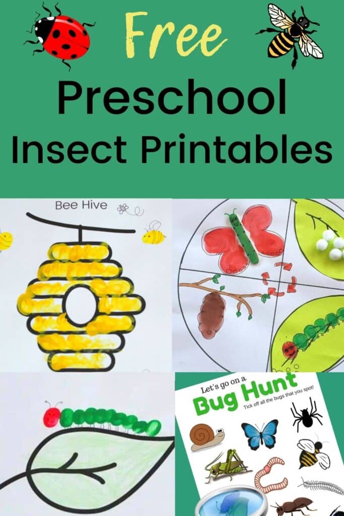 Free preschool Insect Printables - Discover crafts, coloring pages, worksheets and more for a bug themed unit for preschoolers