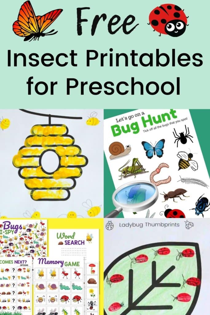 Free Insect Printables for Preschool - Find 22 amazing ideas for insect activities and bug themed printables and insect crafts for kids!