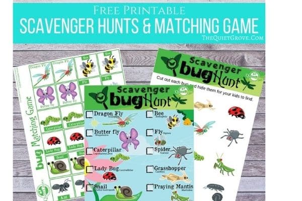 Free printable scavenger hunts and a bug matching game by the Quiet Grove