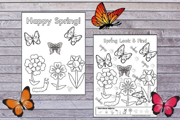 free printable Spring Insect printables including a coloring sheet and a look and find