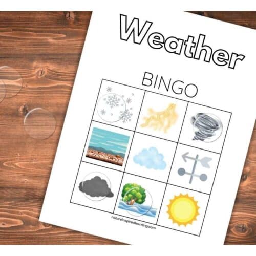 37 Free Printable Bingo Cards (The Ultimate List!) - Simply Full of Delight