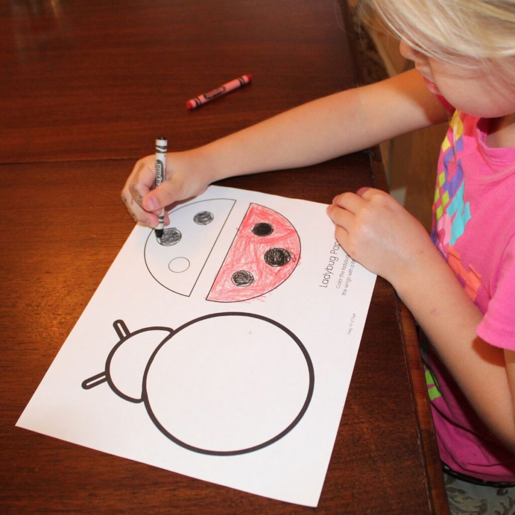 Ladybug template being colored red and black