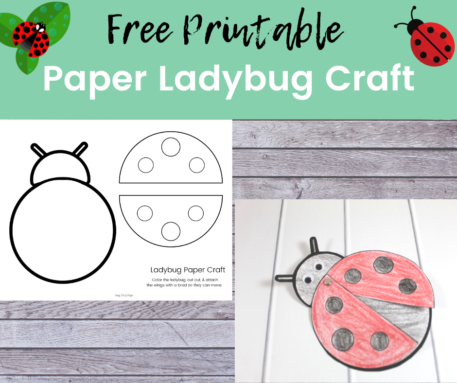 23 Free Preschool Insect Theme Printables & Activities