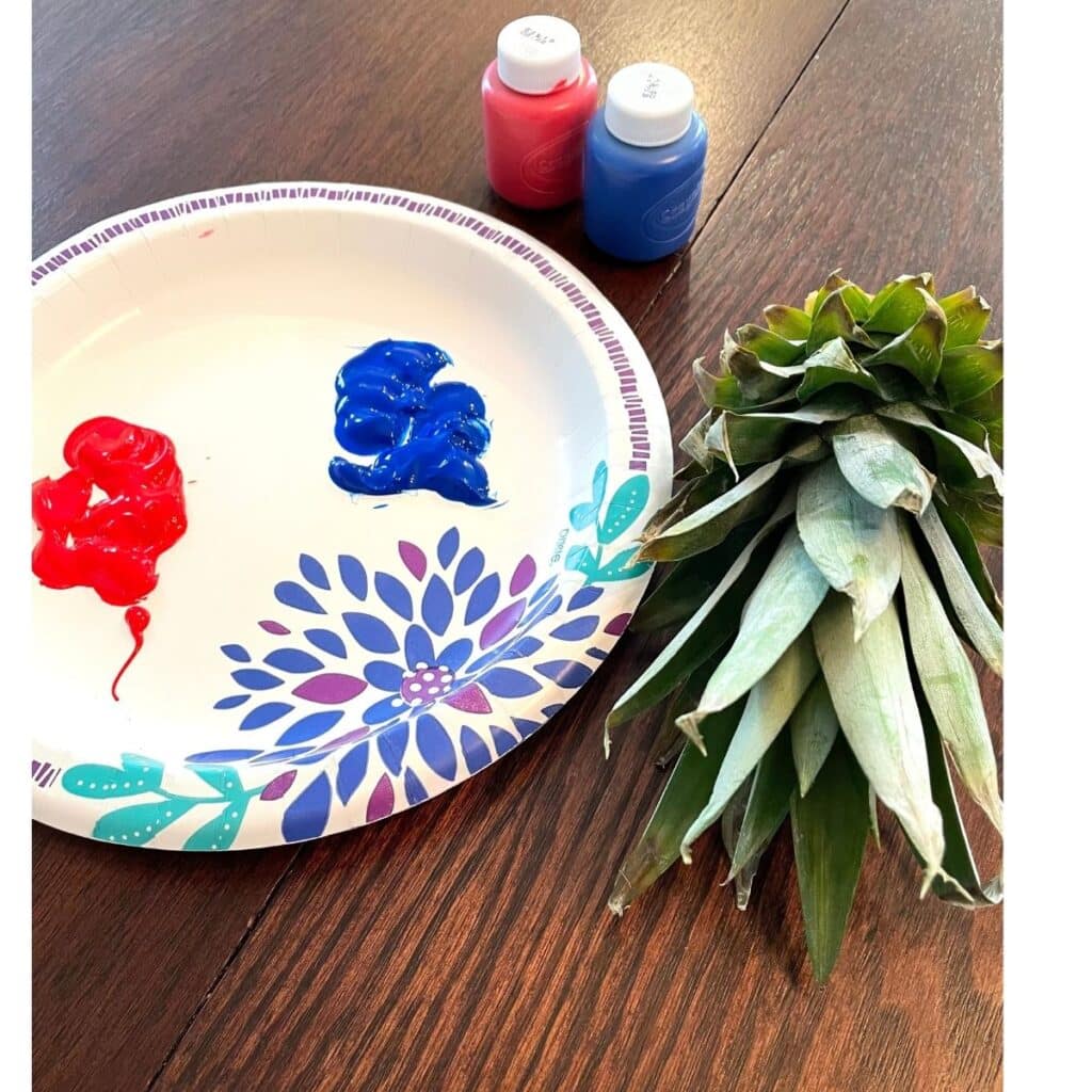 Paint on a paper plate and a pineapple top spike for Pineapple Stamping Fireworks Craft for Preschool