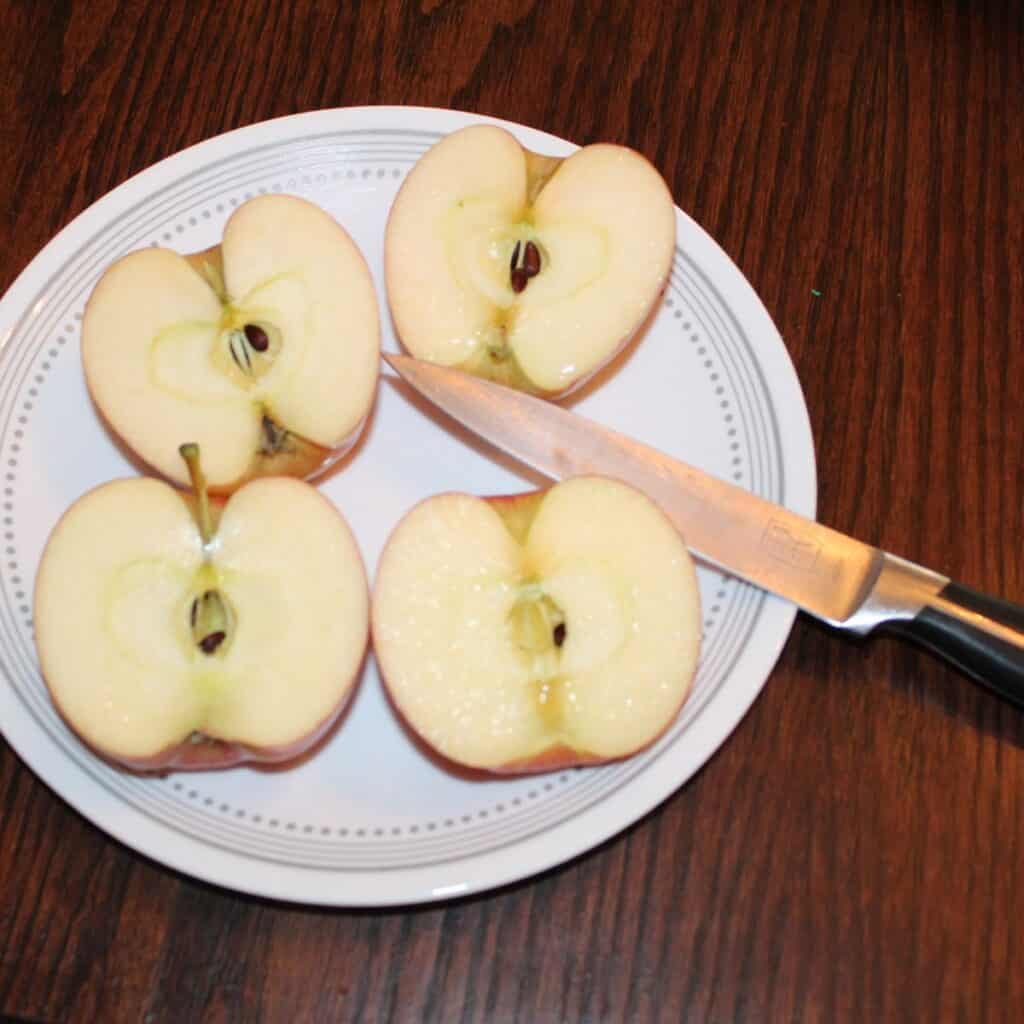 apples cut in half for apple painting