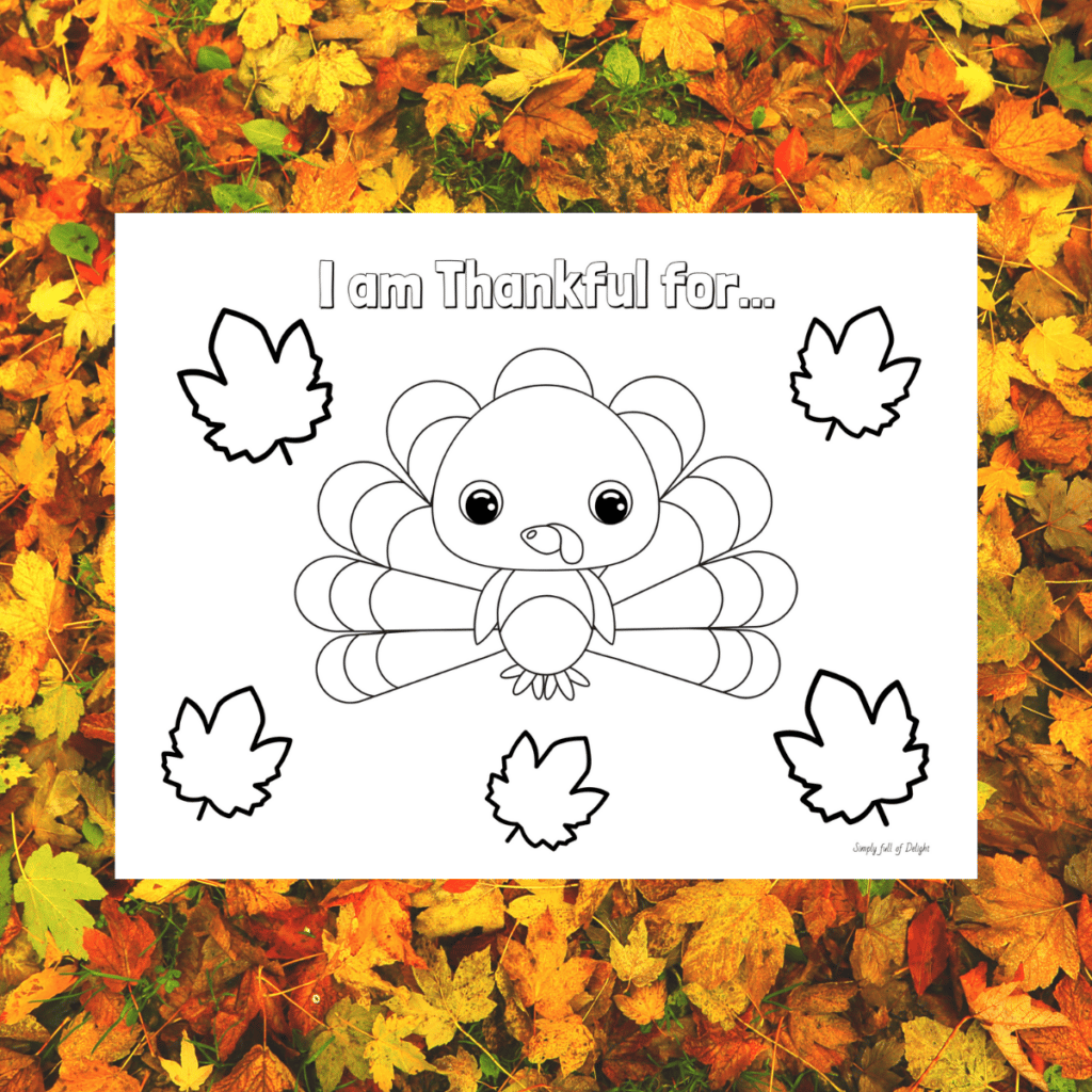 I am thankful for Turkey coloring page for Thanksgiving Day - a cute turkey is featured on this free printable coloring sheet for kids - there are blank leaves for kids to write what they are thankful for!  