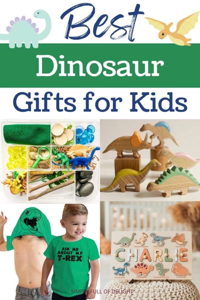 Best Dinosaur gifts for kids - amazing ideas for your little dino lover!  You'll find the best dinosaur toys, clothing, games and more!  shown:  dinosaur sensory kit, wooden dino set, funny dino shirt, and a dinosaur puzzle