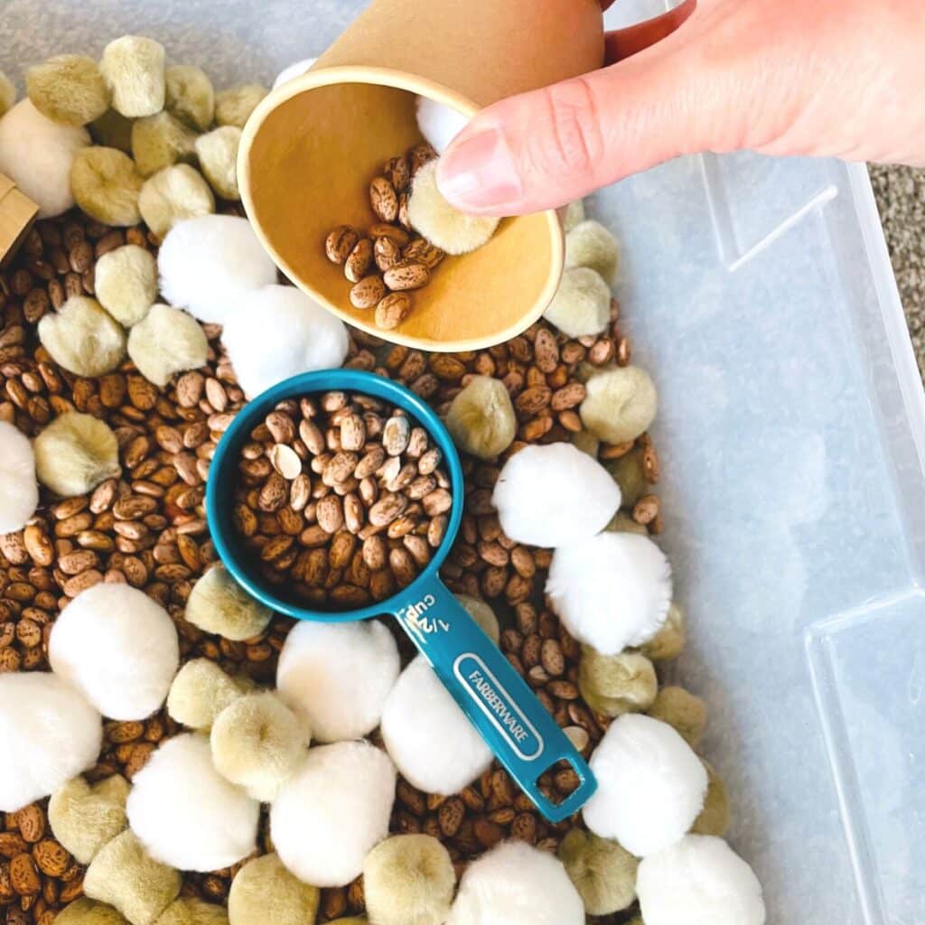 Pouring beans and pom poms in the hot chocolate sensory bin