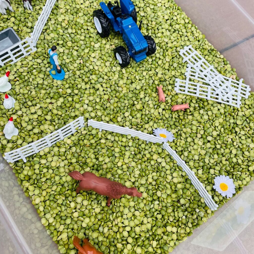 Farm sensory play idea - green split peas, farm animals and more