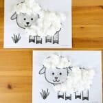 Easy Cotton Ball Sheep Craft (Free Printable)