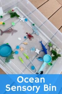 Ocean Sensory Bin (Easy Water Sensory Play Idea)