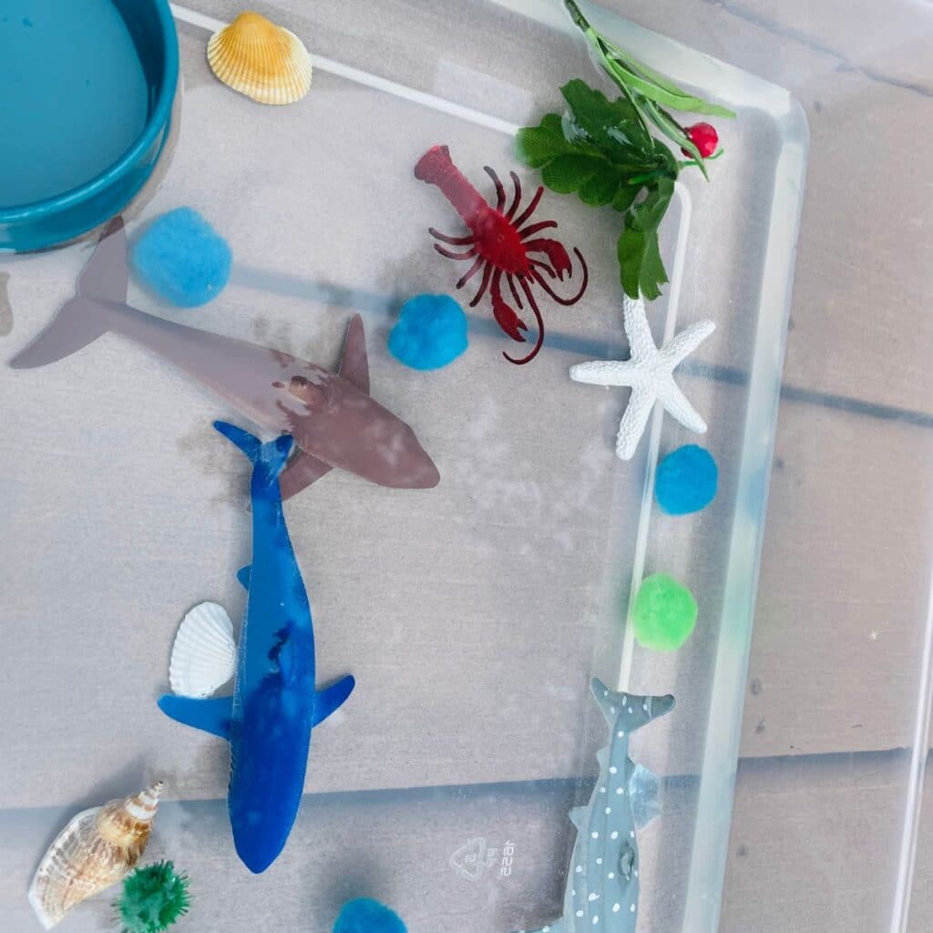 a simple ocean sensory bin - water with a lobster, starfish, pom poms and toy sharks