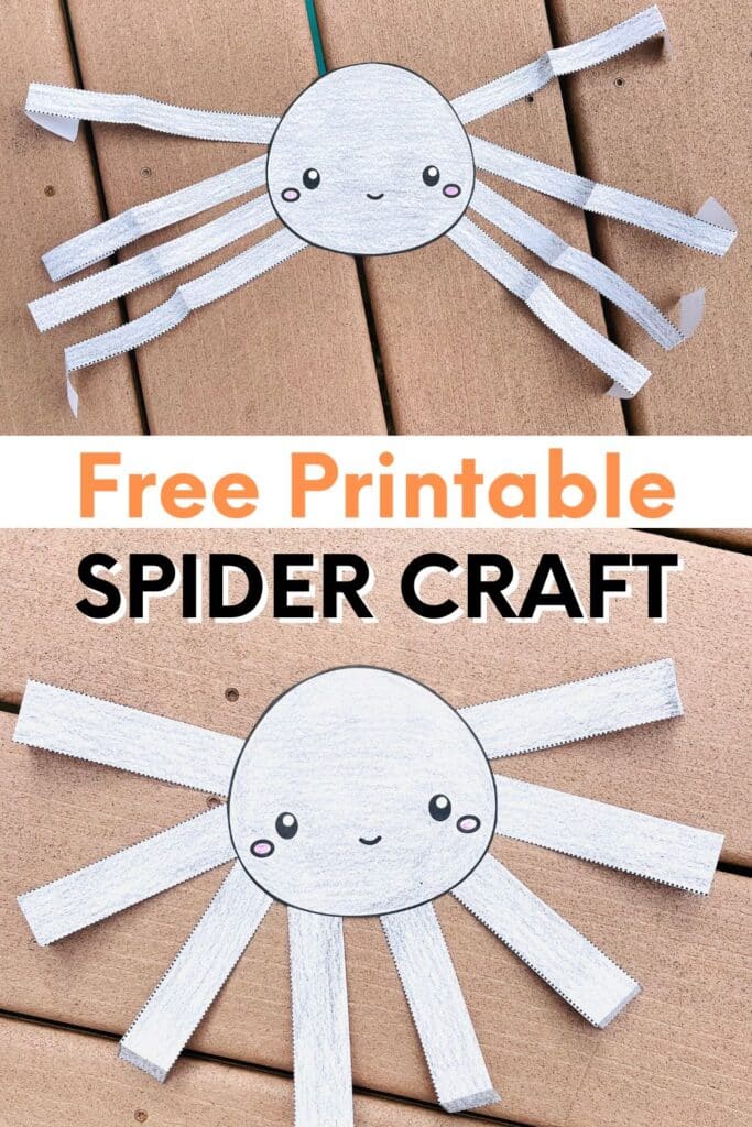 2 spider paper crafts on a wooden background 