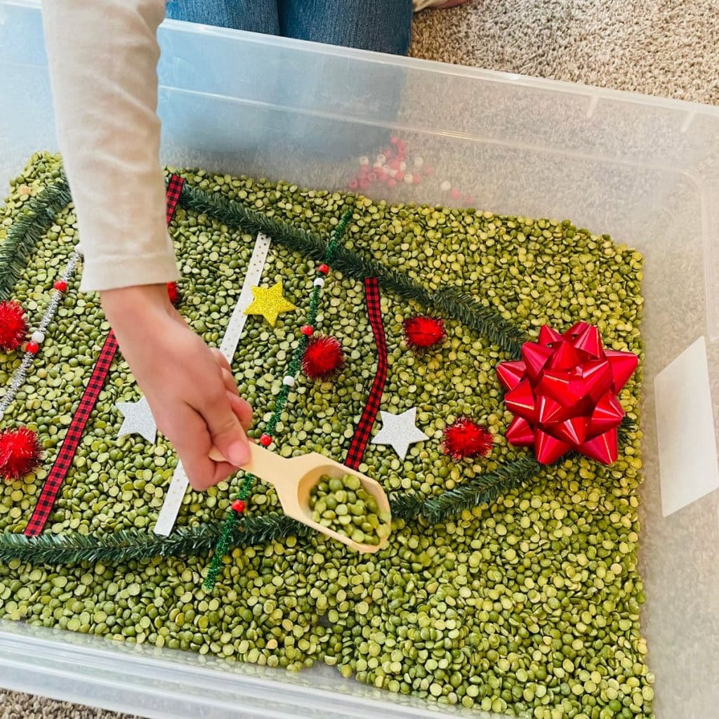 child scoops green split peas in a Christmas tree sensory bin