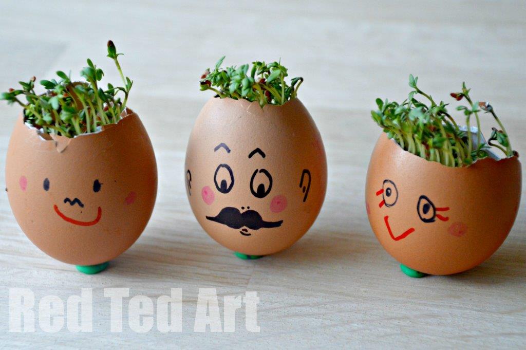 Cress Heads from Red Ted Art