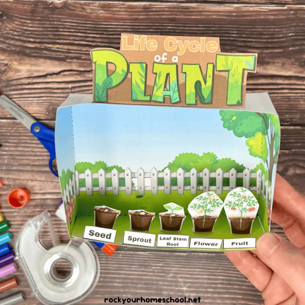 Life Cycle of a Plant Diorama is from Rock Your Homeschool. 