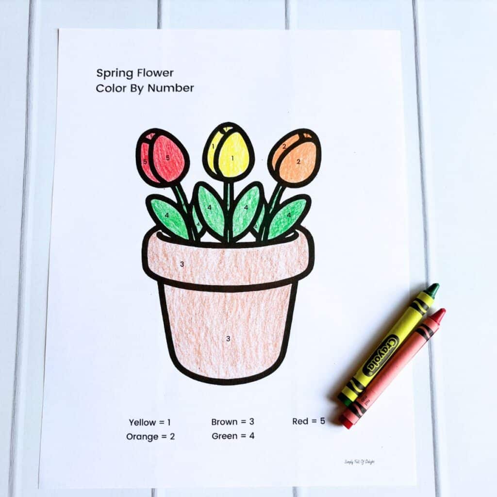Tulip Color by Number Coloring printable Pages - colored